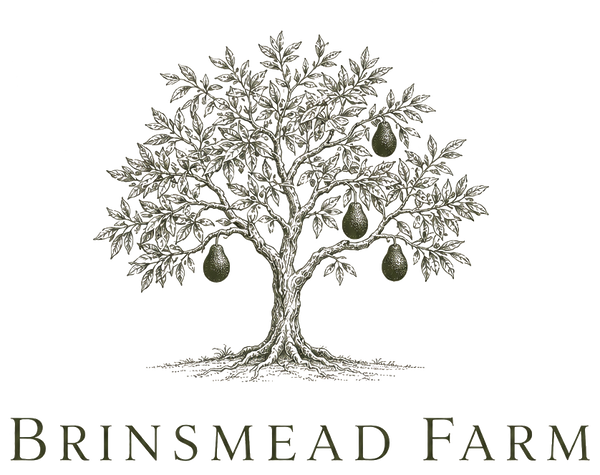 Brinsmead Farm